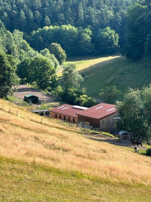 Ferienwohnung Beim Pferdehof Neuenstein  Exterior foto