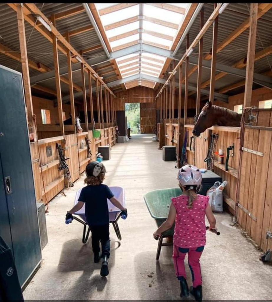 Ferienwohnung Beim Pferdehof Neuenstein  Exterior foto